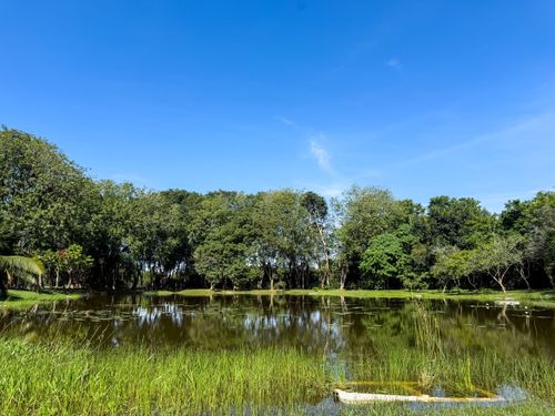 Free Serene lakeside view in Cyberjaya, Malaysia, featuring lush greenery and reflections under a clear blue sky. Stock Photo
