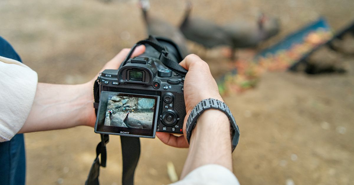 Reportages photo au long cours : décrocher des backlinks sans démarcher, explique Julien Jimenez