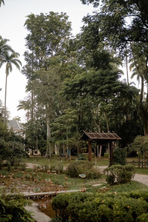 Free Tranquil park scene featuring lush greenery and a wooden pavilion. Stock Photo