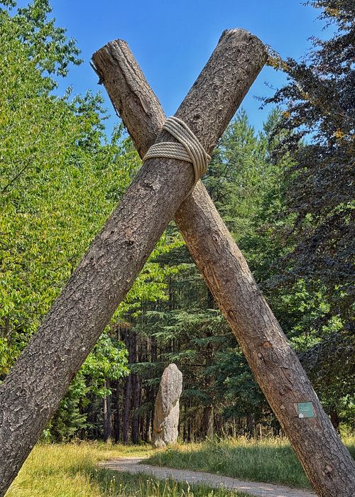 Free A towering wooden structure in a peaceful, lush green forest setting under a clear blue sky. Stock Photo