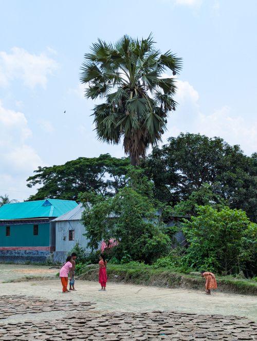 Free Children playing near traditional houses with palm trees under a clear sky. Stock Photo