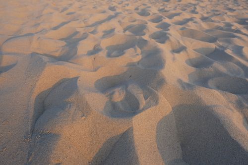 Free Sunset casting shadows over textured beach sand dunes. Stock Photo