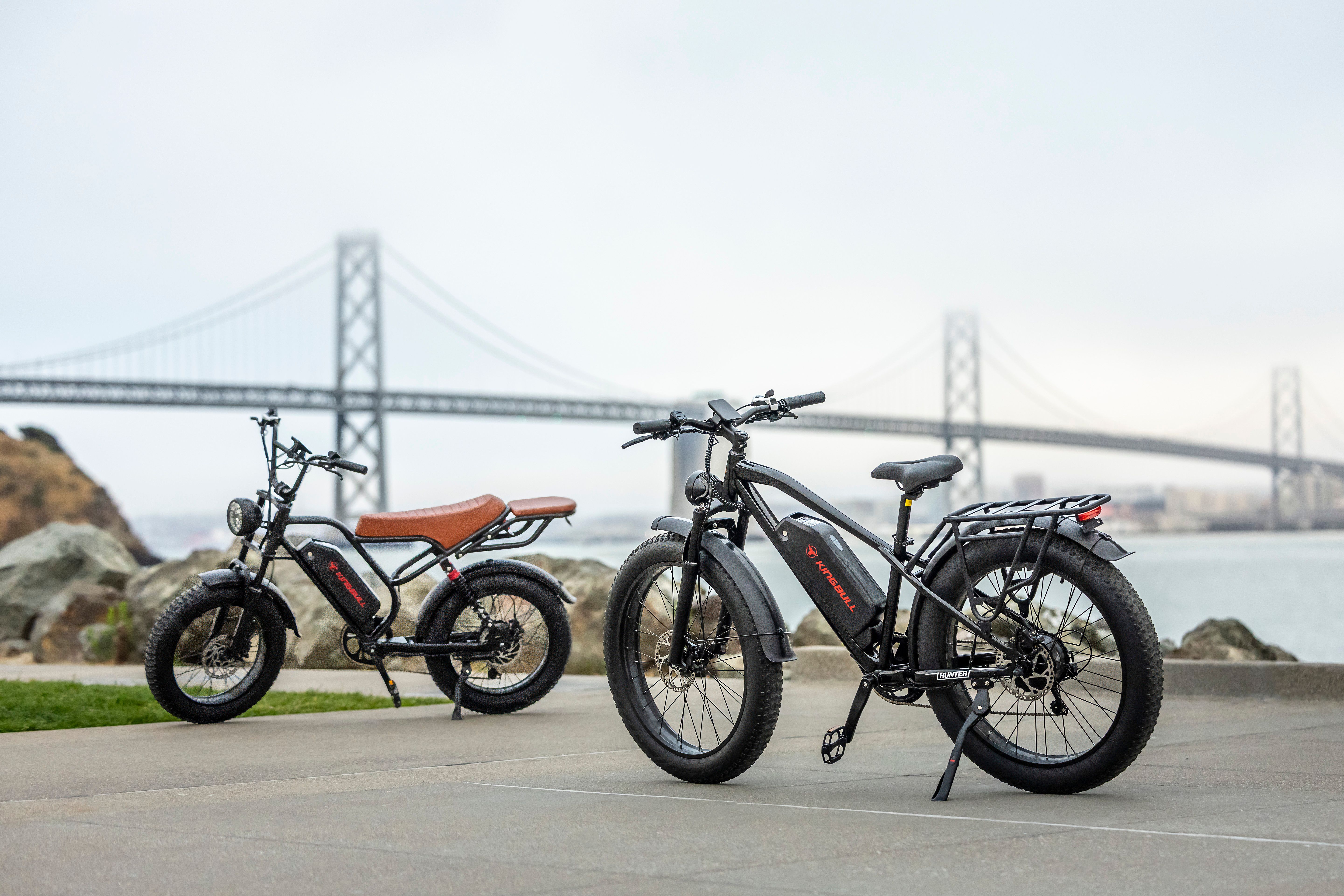 Two electric bikes parked near the Bay Bridge in San Francisco under cloudy skies.