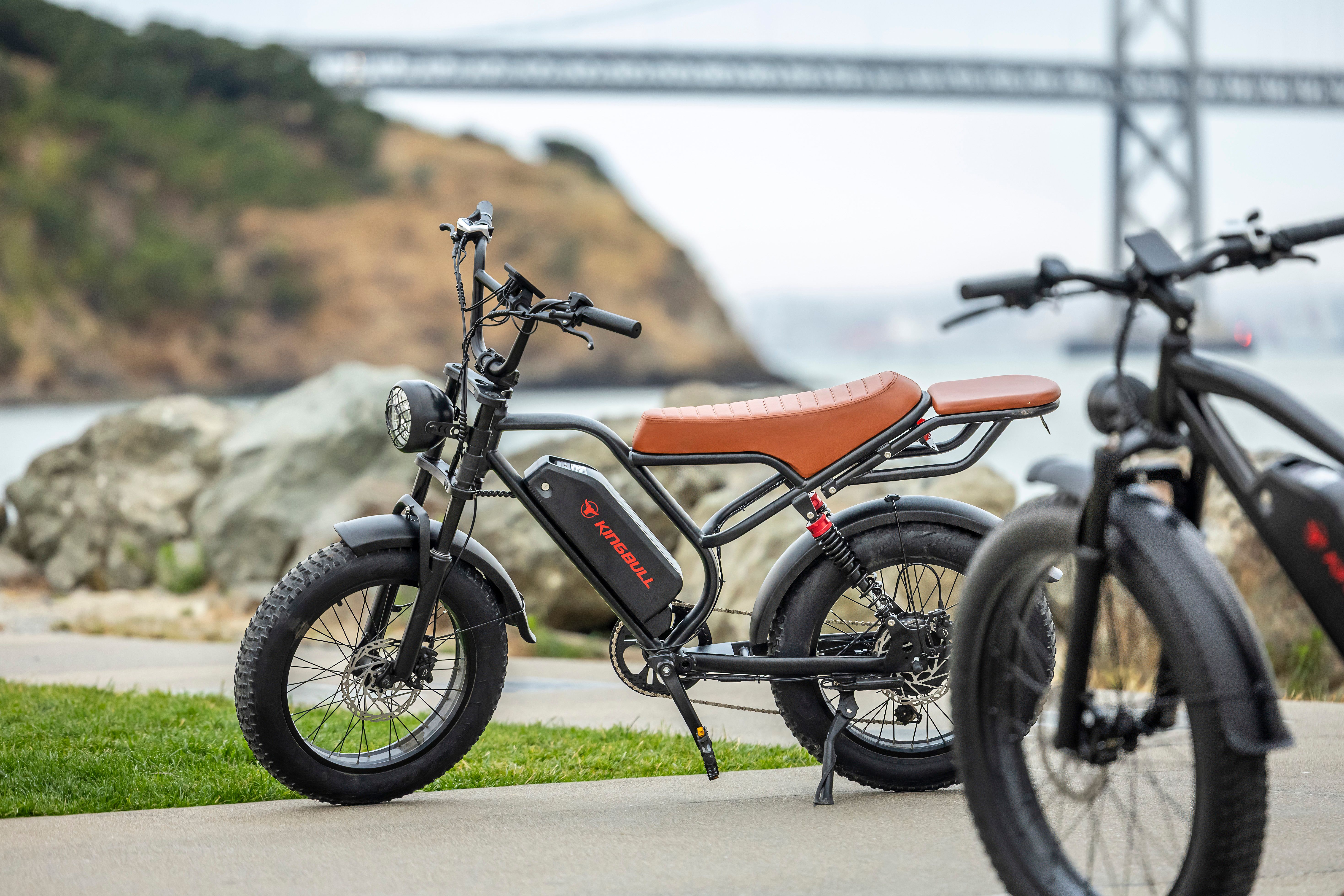 Electric bike parked by the waterside with a bridge in the background.