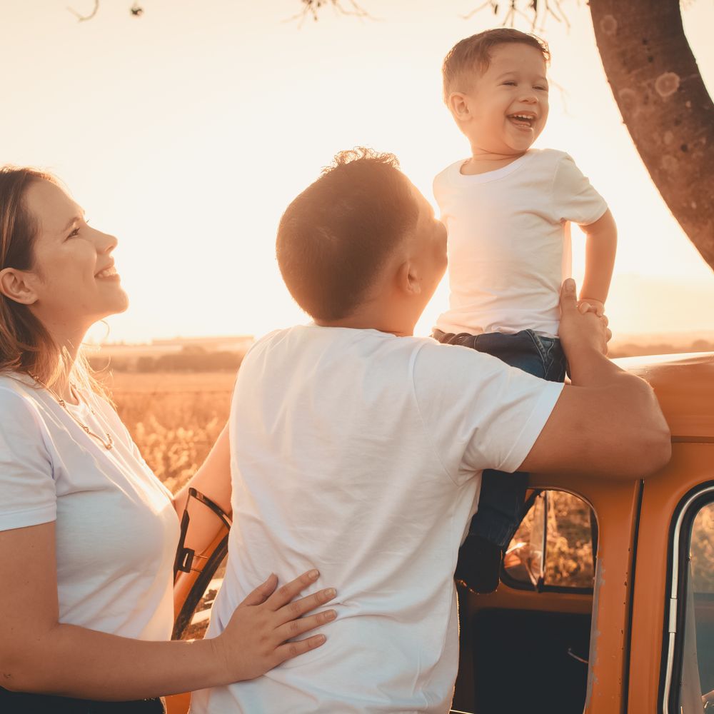 Shirley — professional movers carrying furniture on a house move