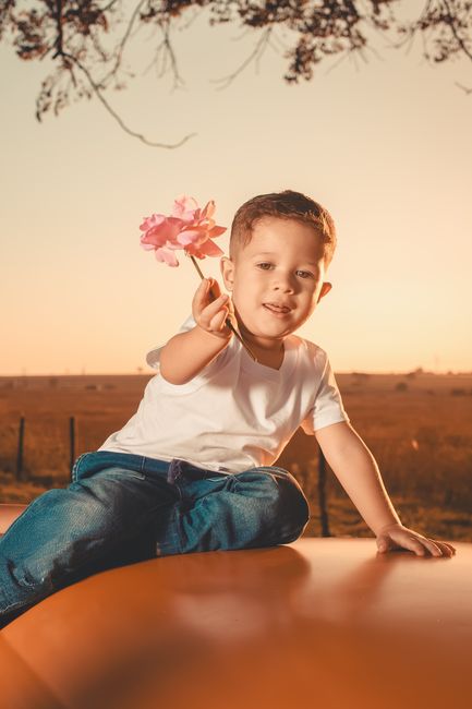 Fotomural Una niña alegre sentada en el capó de un coche, sosteniendo flores rosas, al atardecer en el campo.