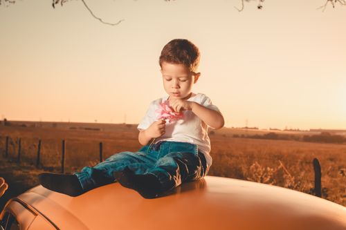 Free Young child sits on a car roof playing with flowers during sunset in a rural field. Stock Photo