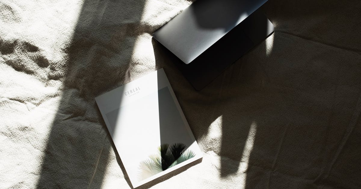 Pexels Photo 3847572