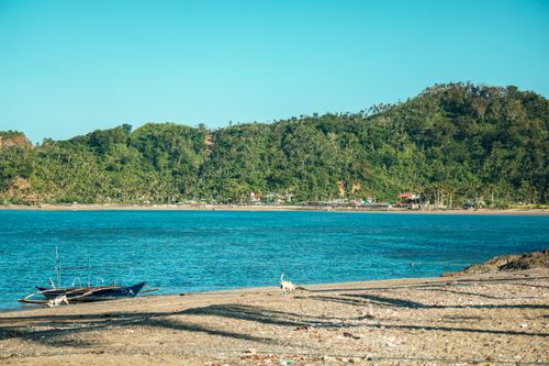 Free Peaceful beach with a boat and dog, capturing coastal tranquility and scenic beauty. Stock Photo