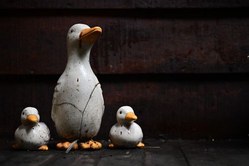 Free Three ceramic duck sculptures on a dark wooden surface create a rustic and charming scene. Stock Photo