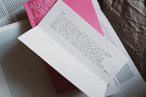 From above of papers with text lying above book in pink soft binding