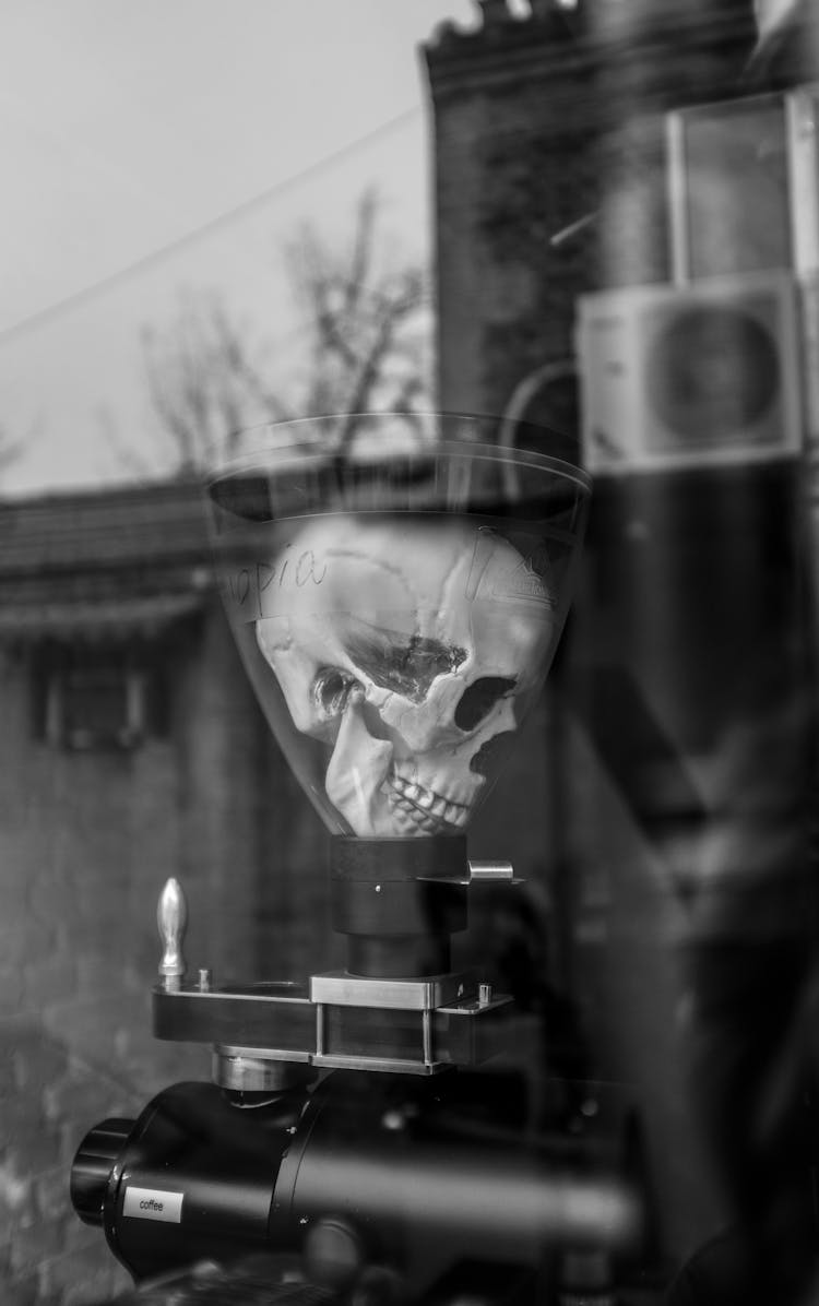 Human Skull On Professional Equipment In Laboratory