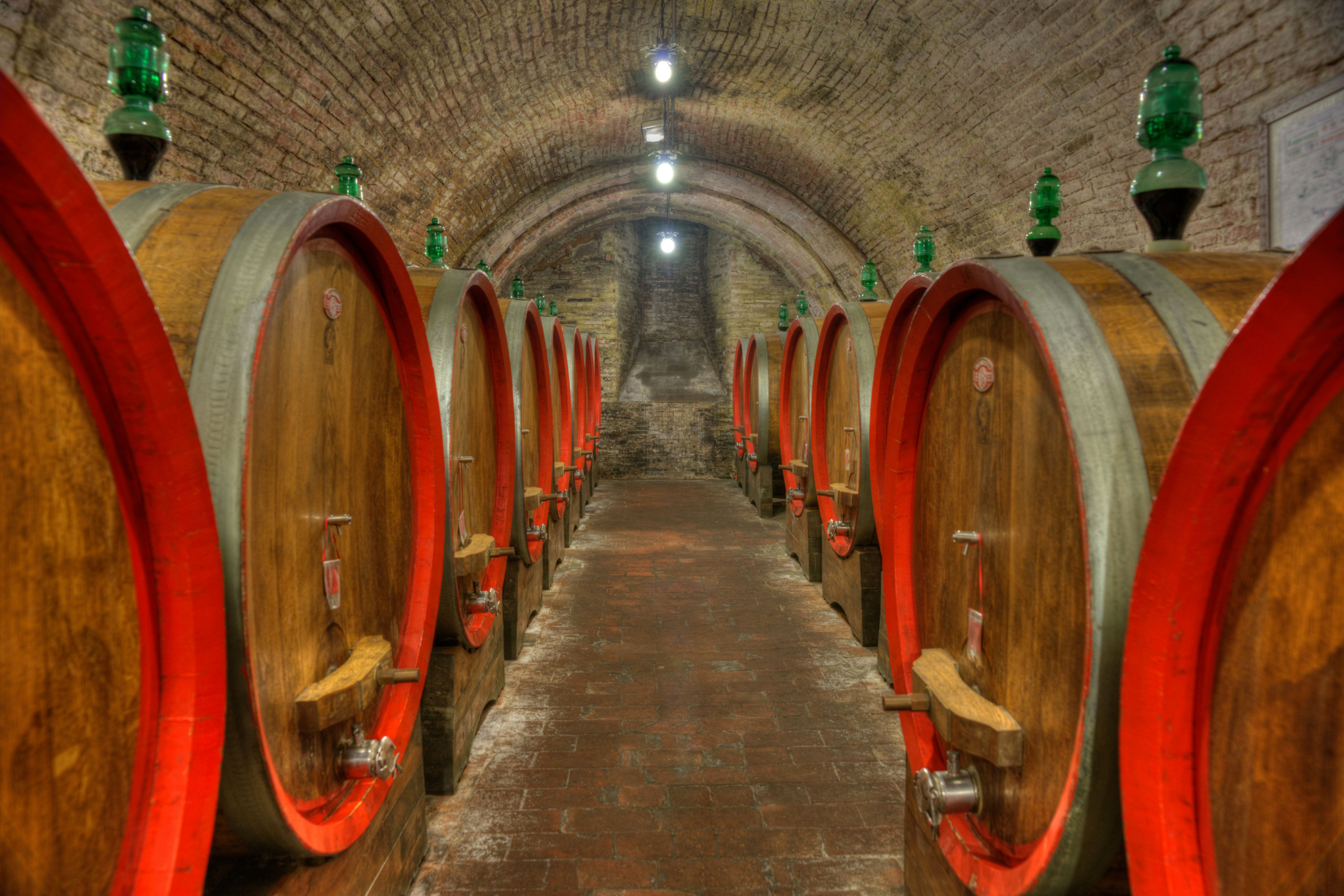 Dimly lit wine cellar with rows of large oak barrels, creating a rustic atmosphere.