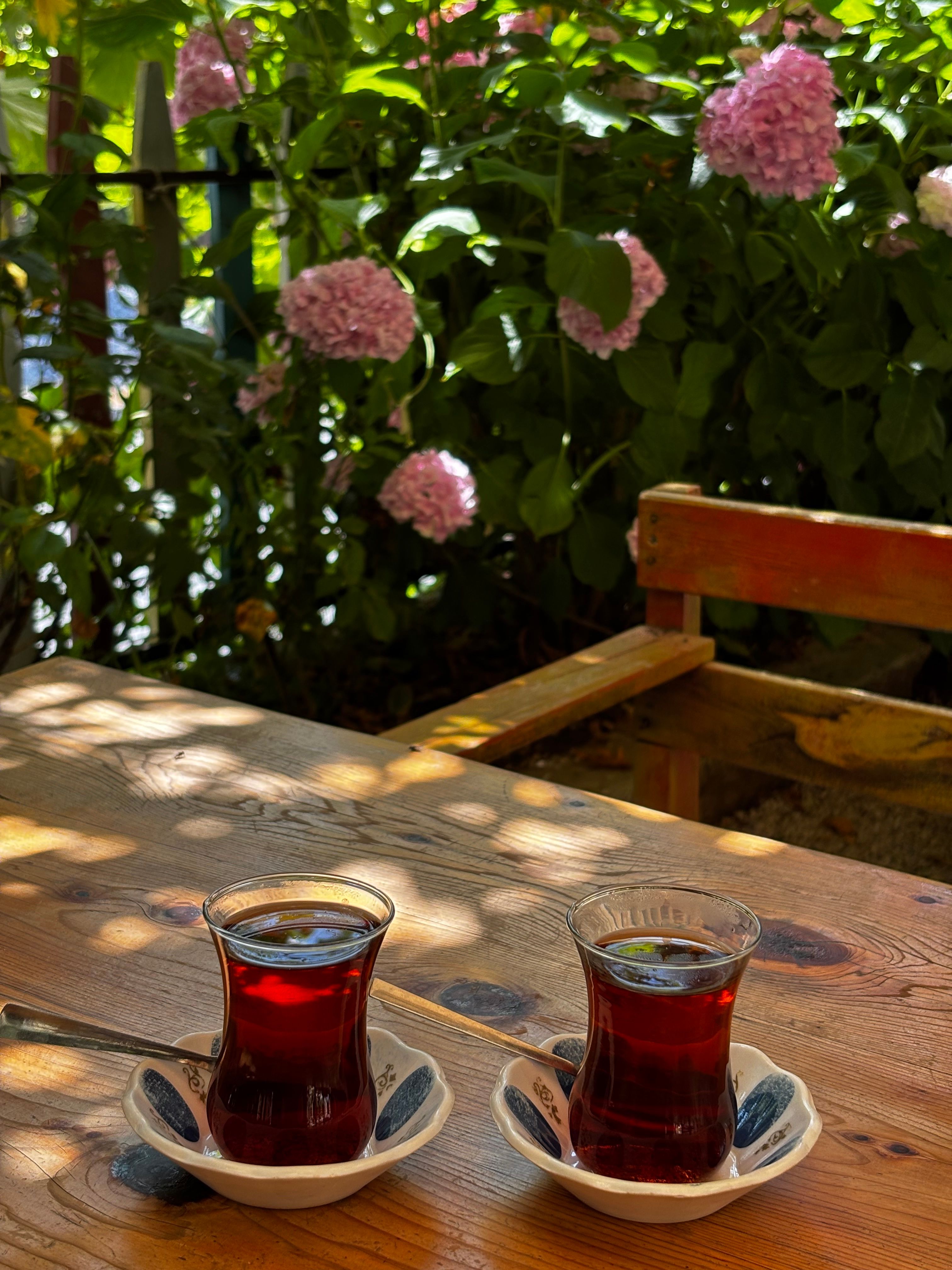 Enjoy a serene moment with Turkish tea amidst blooming hydrangeas.