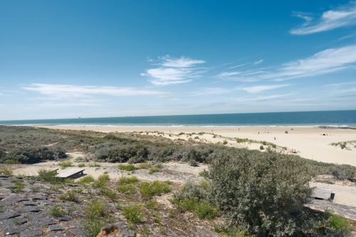 Free A tranquil beach scene under a clear blue sky, perfect for relaxation and summer vibes. Stock Photo