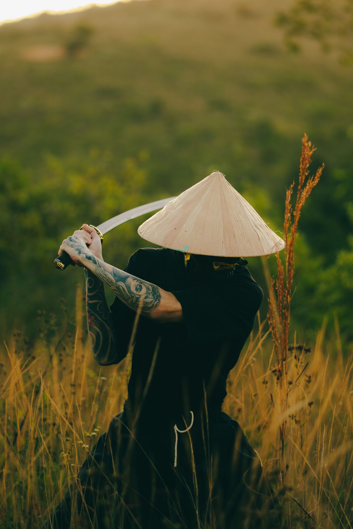 風に揺れる草原のイメージ