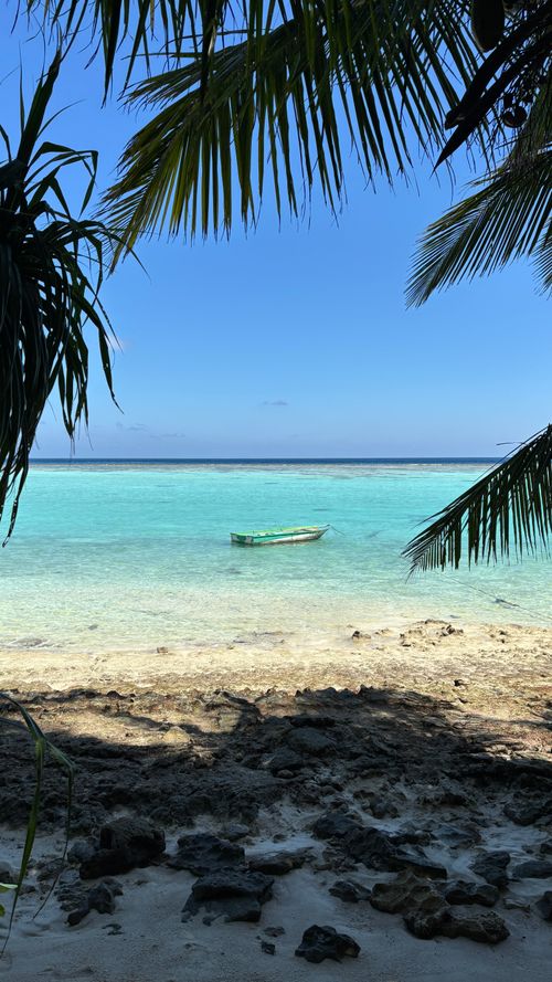 Free Idyllic beach scene in Thoddoo with turquoise waters and swaying palms. Stock Photo