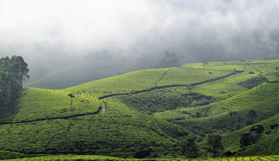 Munnar