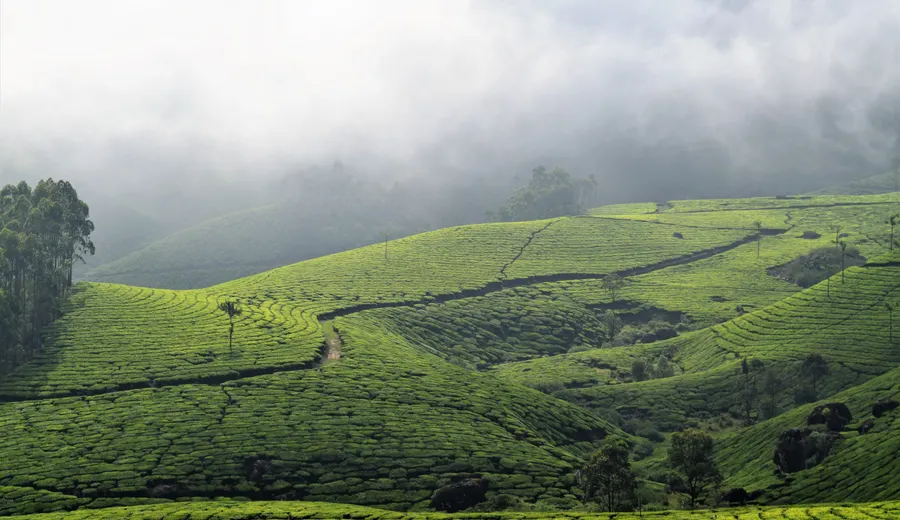 Munnar