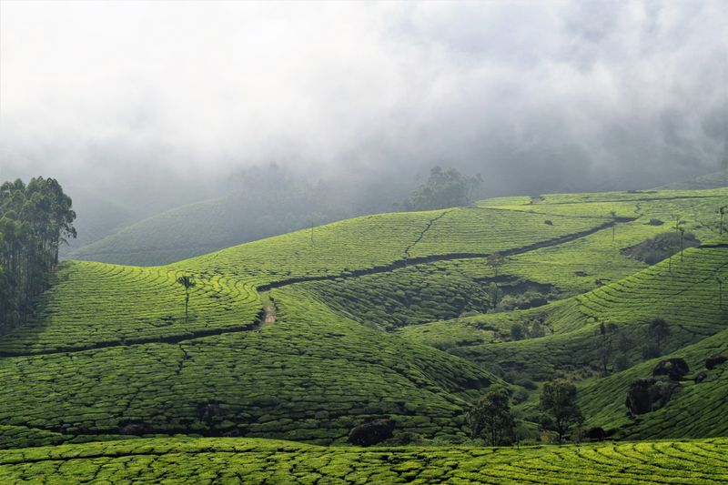 Bengaluru - Mysuru - Coorg