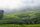 plantation