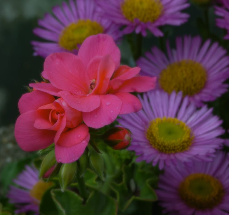 Google TV 導入 Gemini AI 後,2026 年智慧電視如何徹底改變你的觀看習慣? Google TV 導入 Gemini AI 後,2026 年智慧電視如何徹底改變你的觀看習慣?