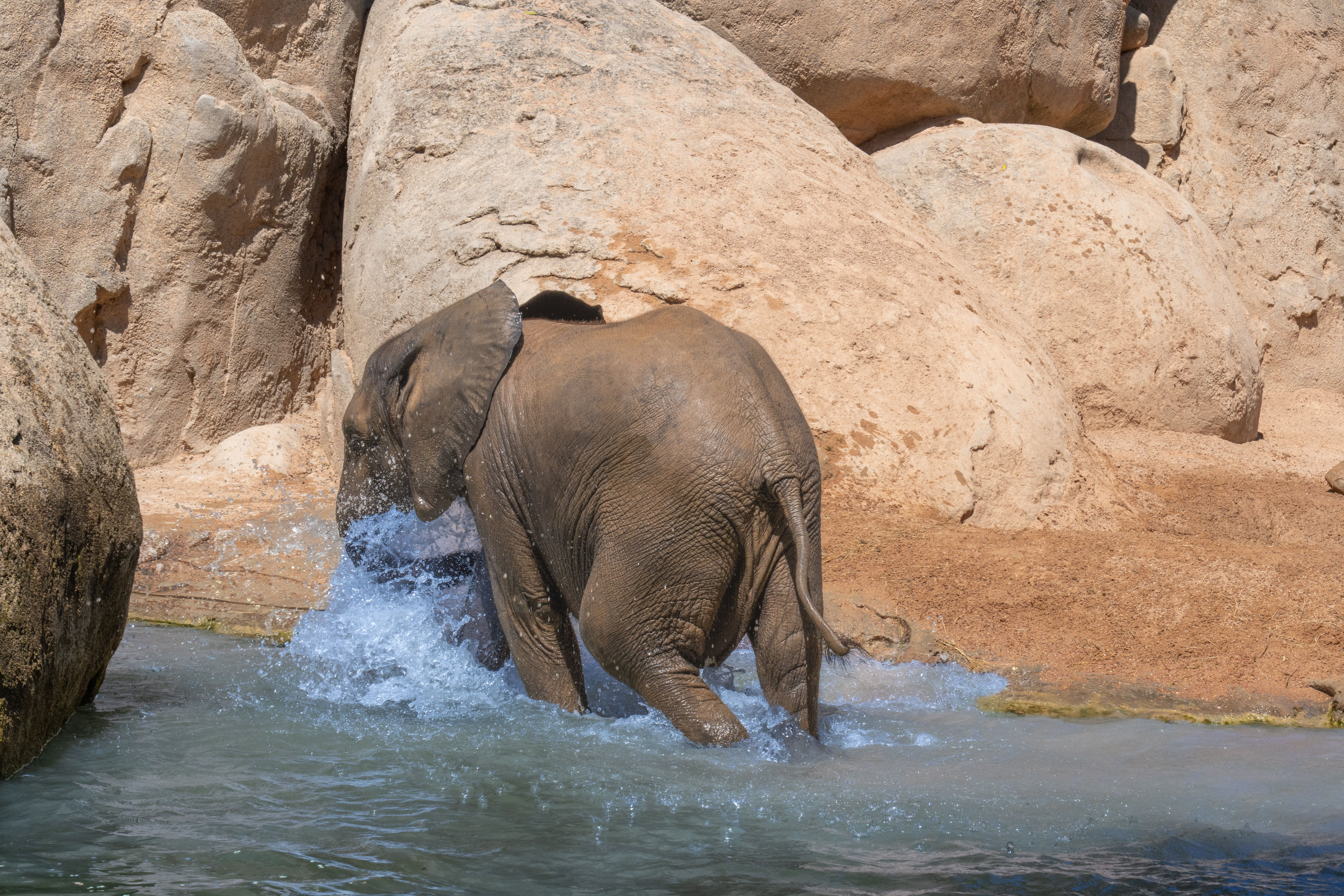 Private opening of the Amazoo water park
