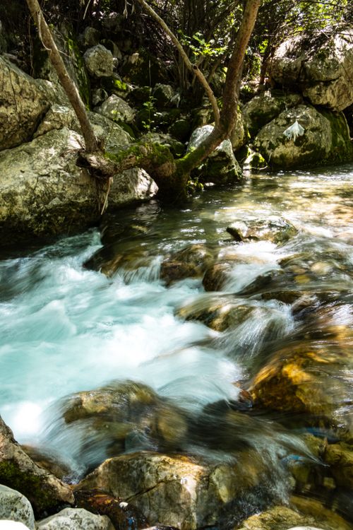 Free Serene stream cascading over rocks with vibrant greenery in a tranquil forest setting. Stock Photo