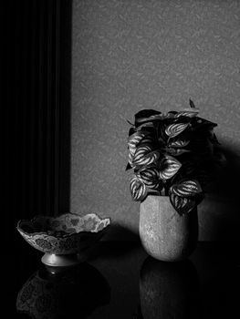 Black and white still life showcasing a plant in a pot and an ornate bowl.