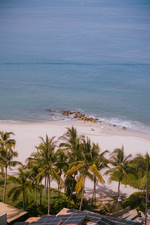 Free Scenic aerial view of a pristine beach with palm trees and ocean in Puerto Vallarta, Mexico. Stock Photo