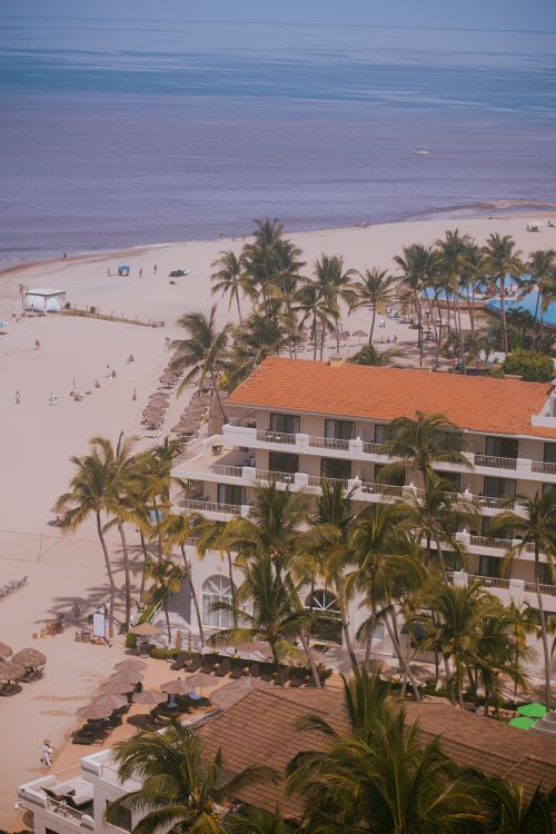 Free A vibrant aerial shot of Puerto Vallarta's coastline with lush palm trees and sandy beaches. Stock Photo