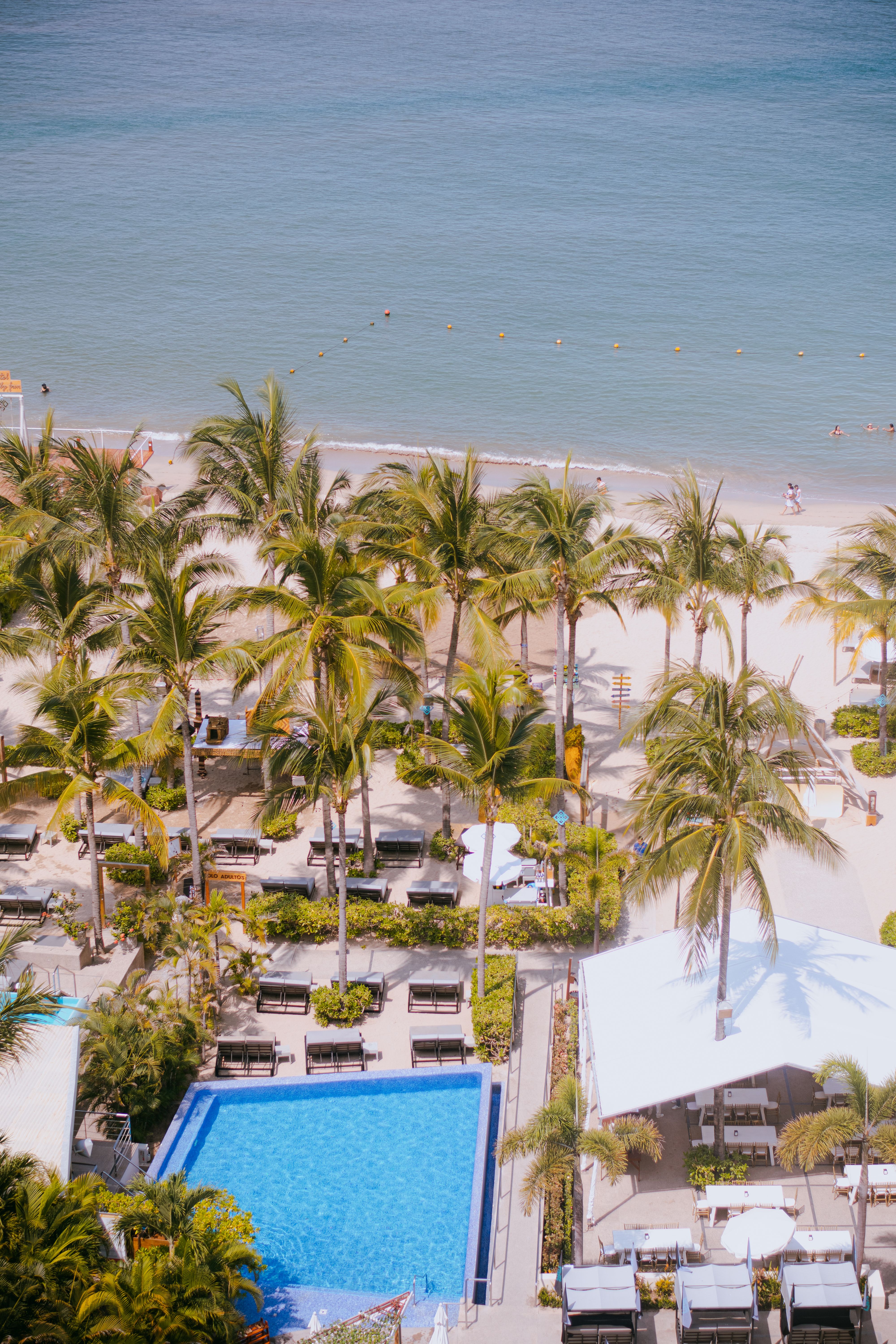 Scenic aerial shot of Puerto Vallarta beach, showing palm trees, pool, and ocean.