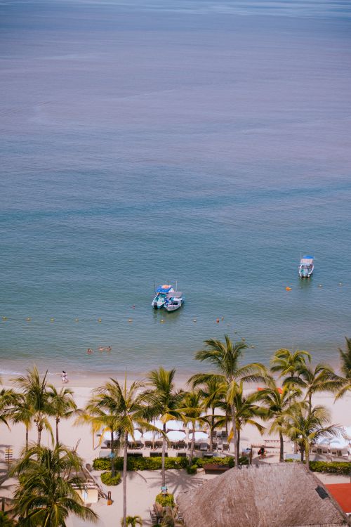 Free Aerial shot of the pristine beach in Puerto Vallarta with boats and palm trees lining the shoreline. Stock Photo