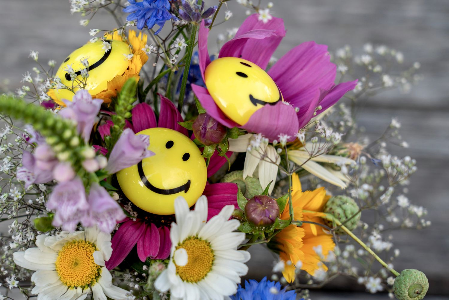 Happy Spring Day Photos, Download The BEST Free Happy Spring Day Stock ...