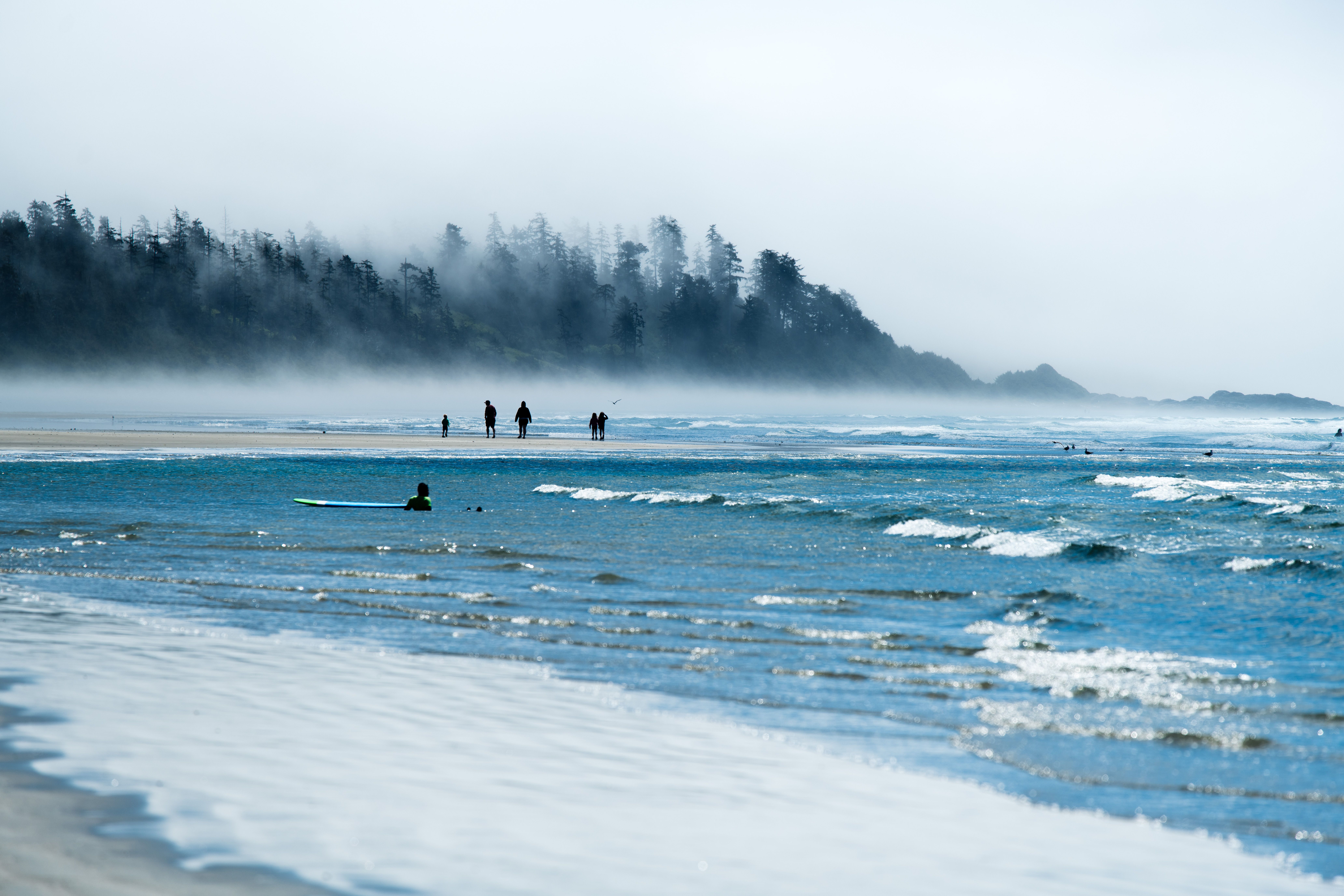 Tofino