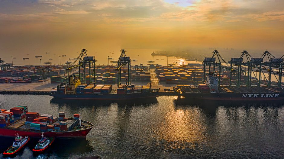 Export Permit Singapore Bali