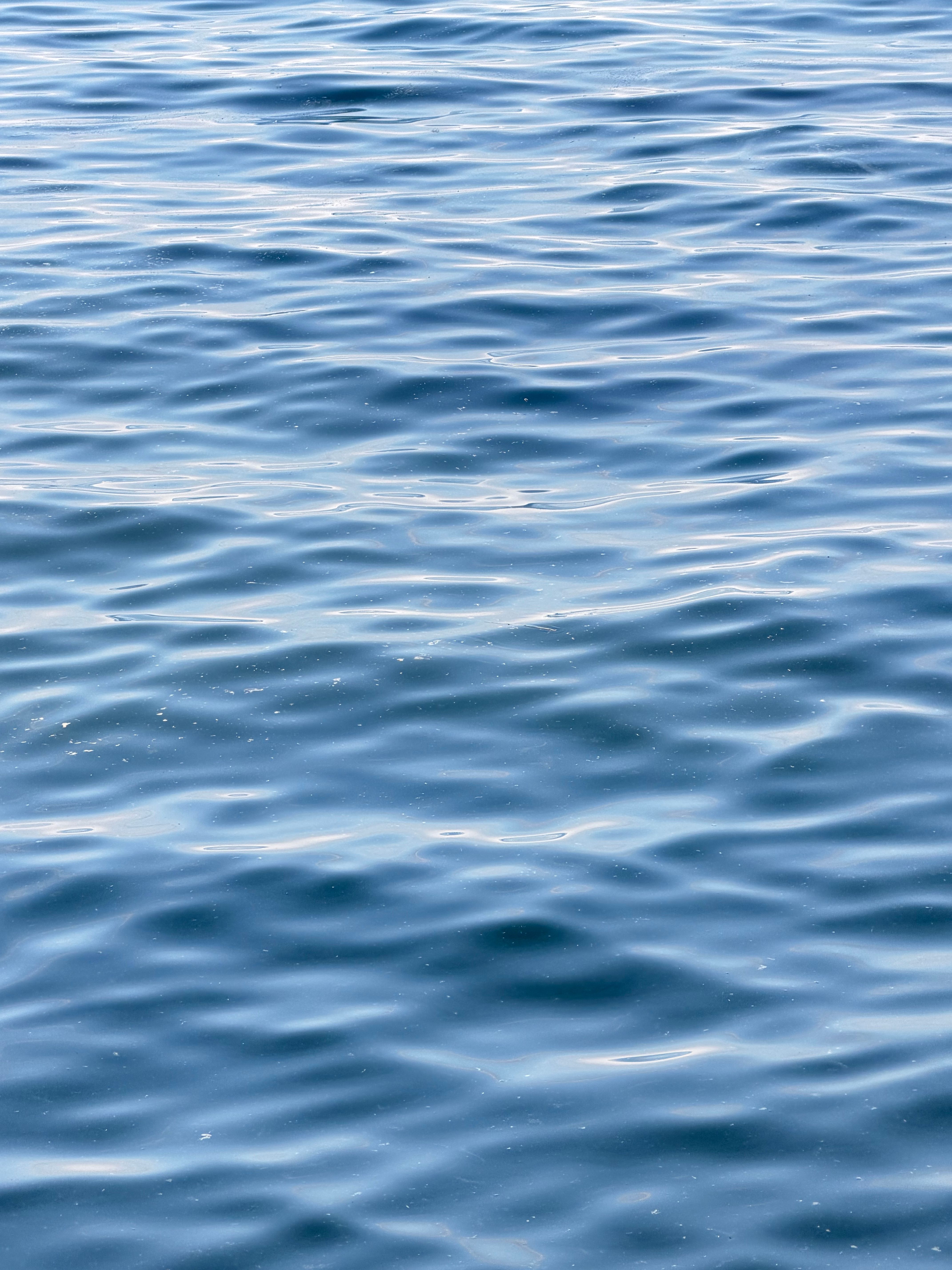 Fotomural Superficie de agua azul calma y tranquila con suaves ondulaciones en el Lago Ontario.