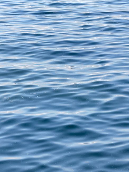 Fotomural Superficie de agua azul calma y tranquila con suaves ondulaciones en el Lago Ontario.
