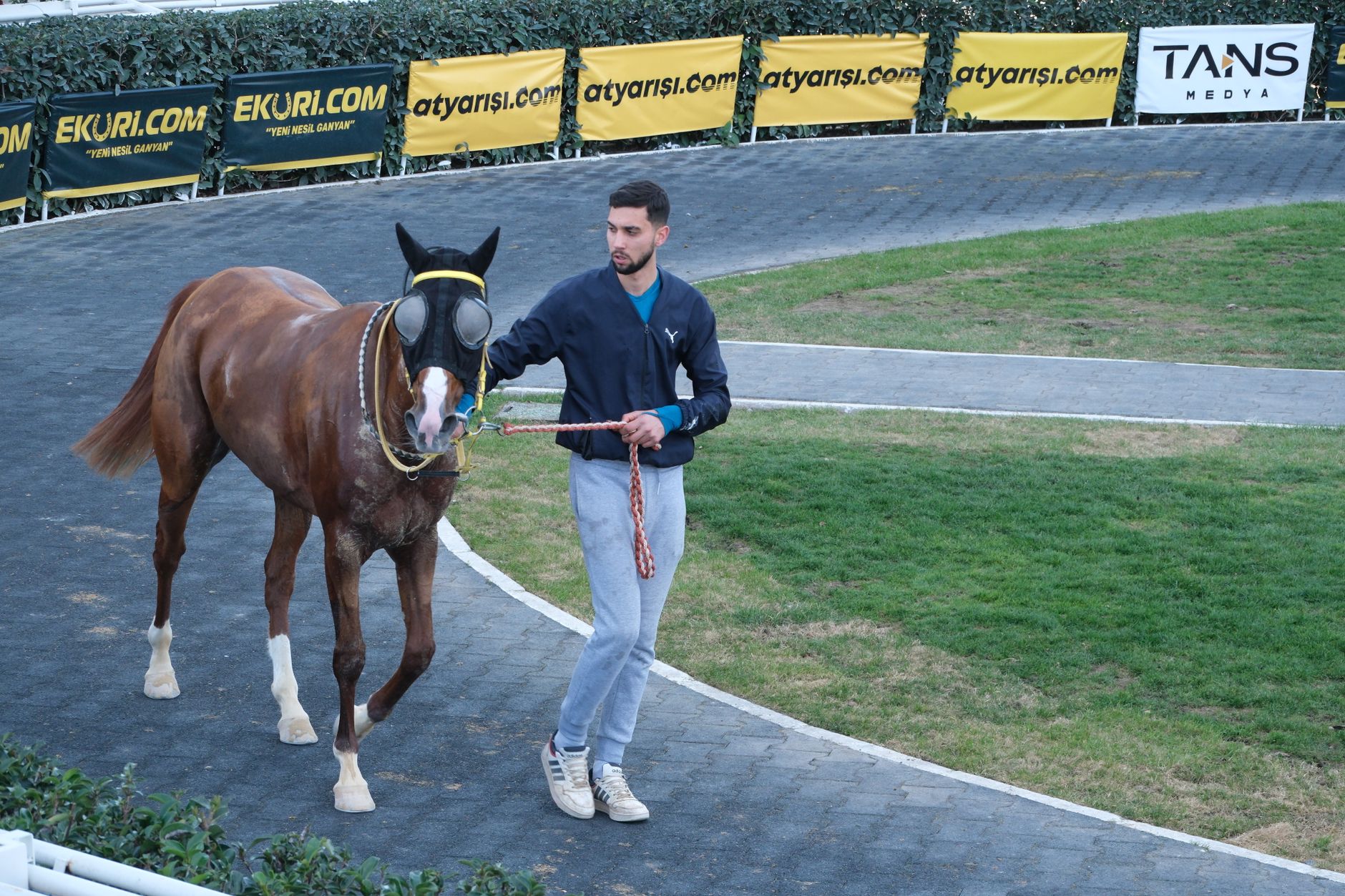 A horse trainer guides a thoroughbred horse on a track at a racecourse outdoors.