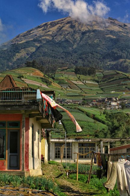A picturesque landscape of terraced fields and Mount Sumbing in Magelang, Central Java, Indonesia.