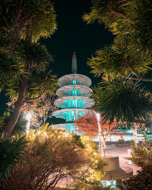 San Francisco Peace Pagoda at Night seen through Trees