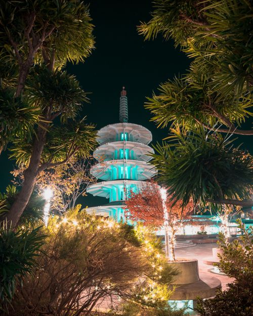 Free The Peace Pagoda in San Francisco's Japantown beautifully lit at night amid trees. Stock Photo