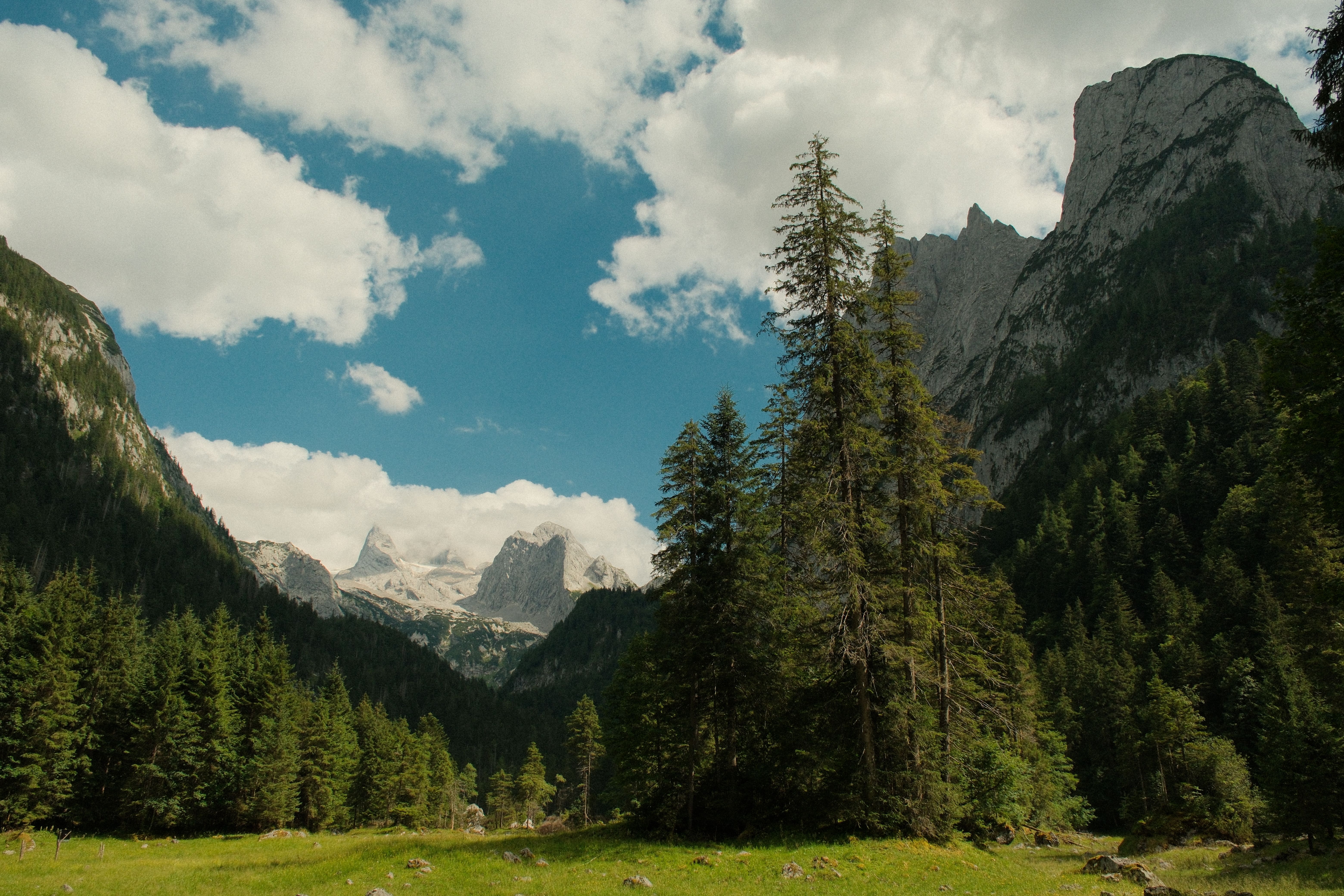 8 Day Tai Chi Workshop: 'The Way of Tai Chi Chuan" in Austria 2