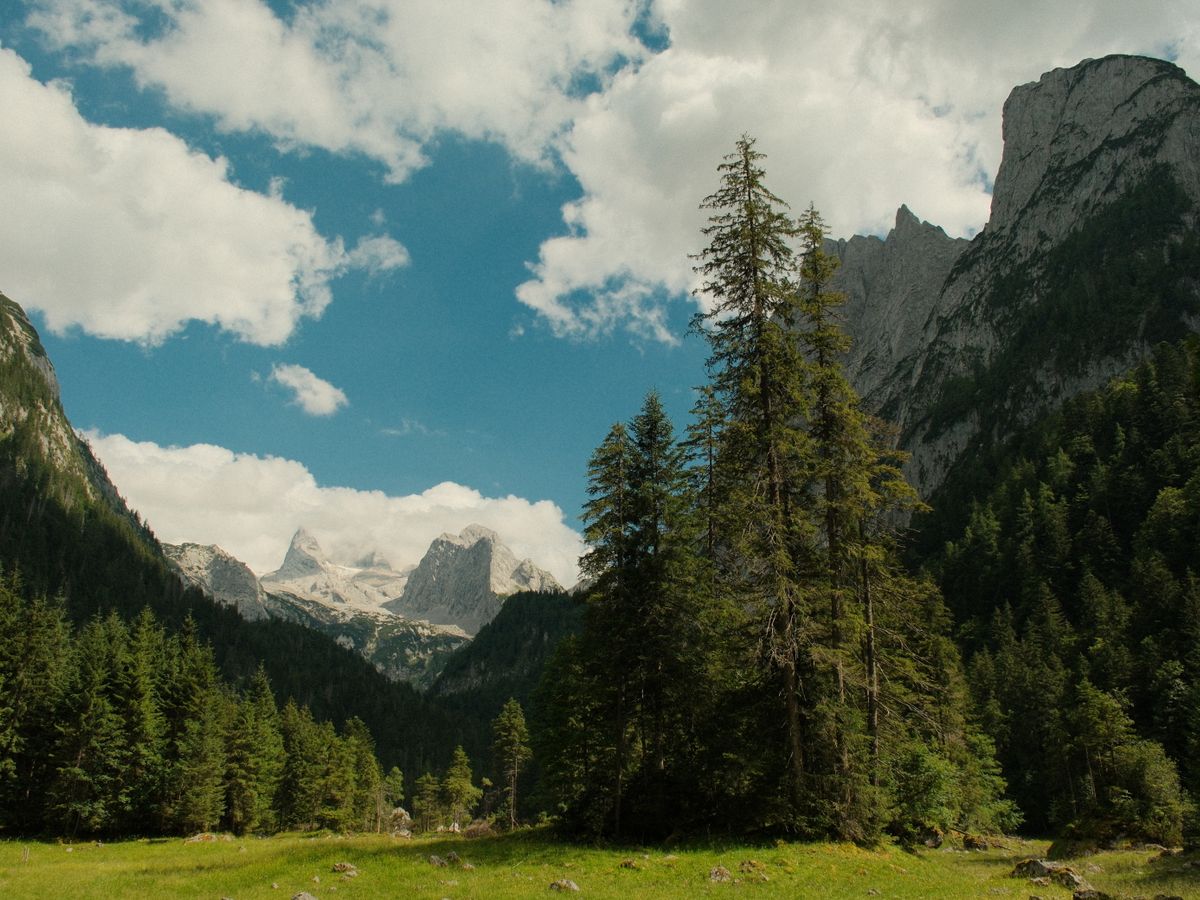 8 Day Tai Chi Workshop: 'The Way of Tai Chi Chuan" in Austria 2