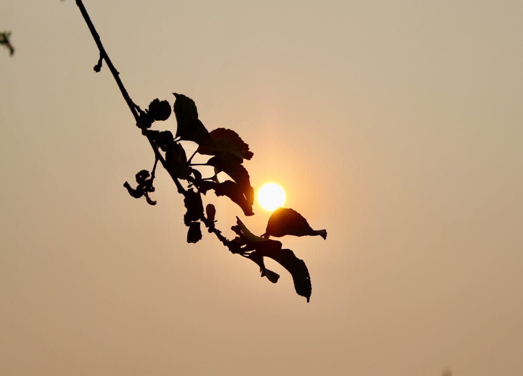 AI 真的會比醫生更好?Elon Musk Grok AI 在 MRI 診斷的潛力與 2026 年醫療革命剖析 AI 真的會比醫生更好?Elon Musk Grok AI 在 MRI 診斷的潛力與 2026 年醫療革命剖析