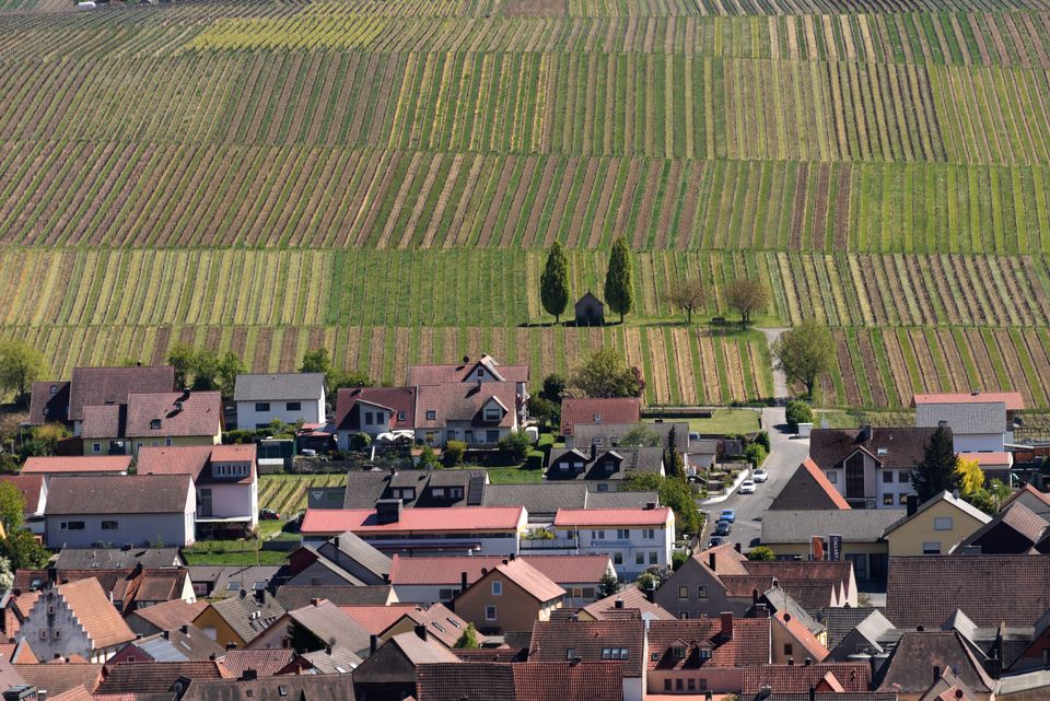 in Annweiler am Trifels