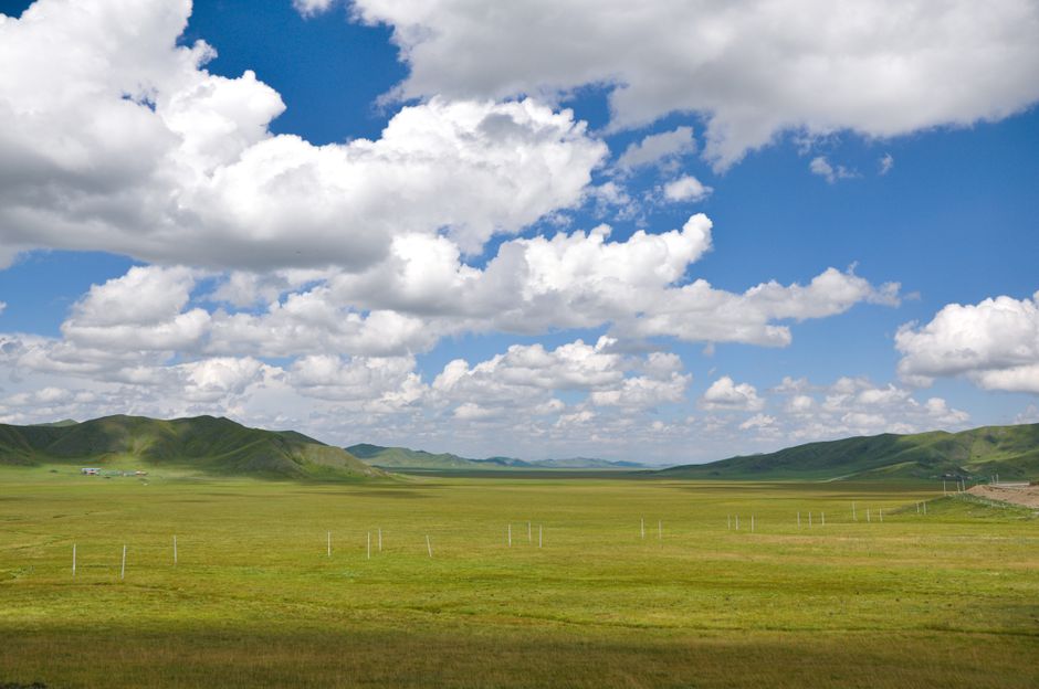 Wide view of lush green plains beneath a vibrant blue sky with fluffy clouds, capturing natural beauty.