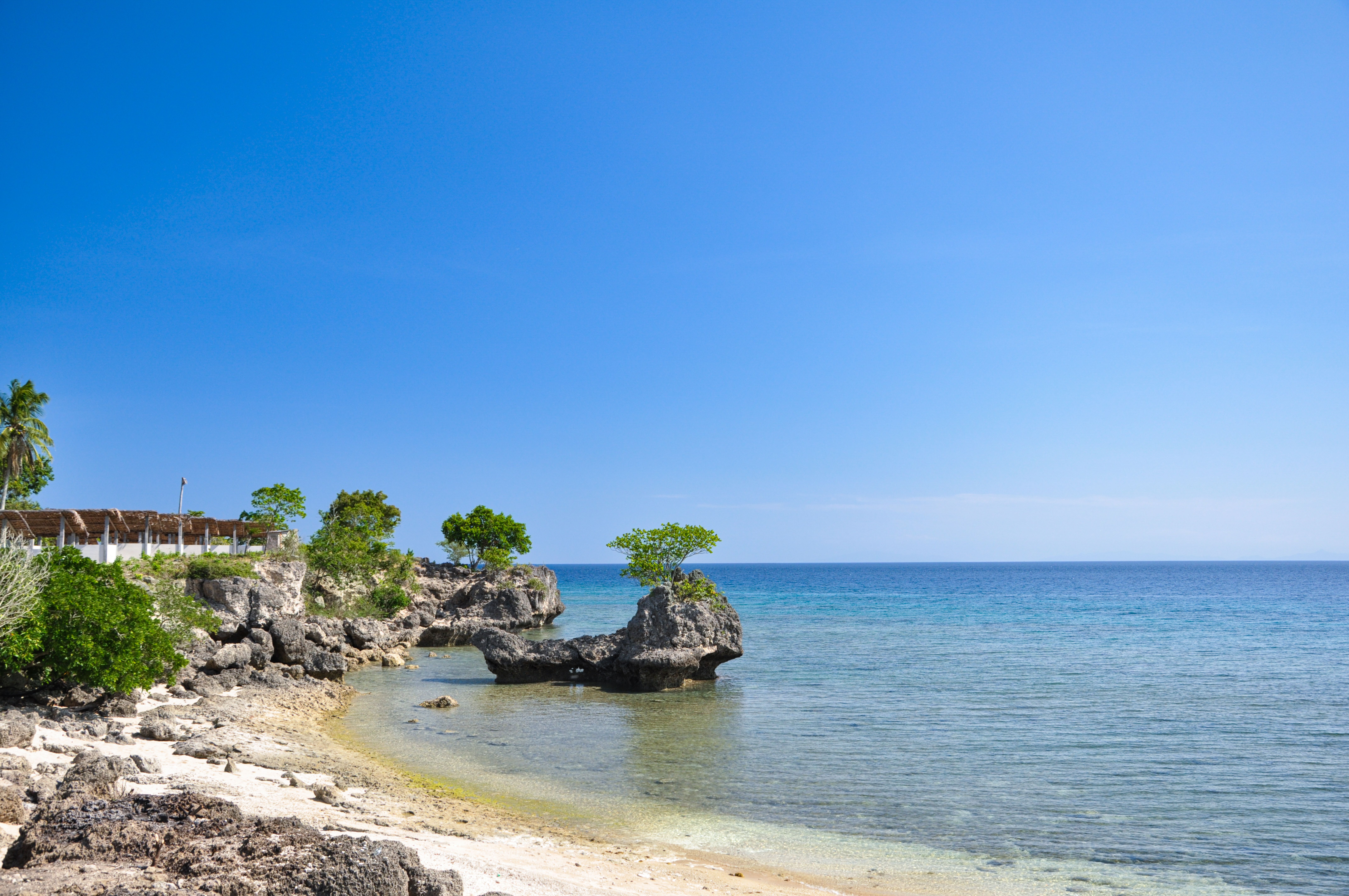 7 Day Star Arcanum Holistic Yoga Retreat in Port Antonio, Jamaica 3