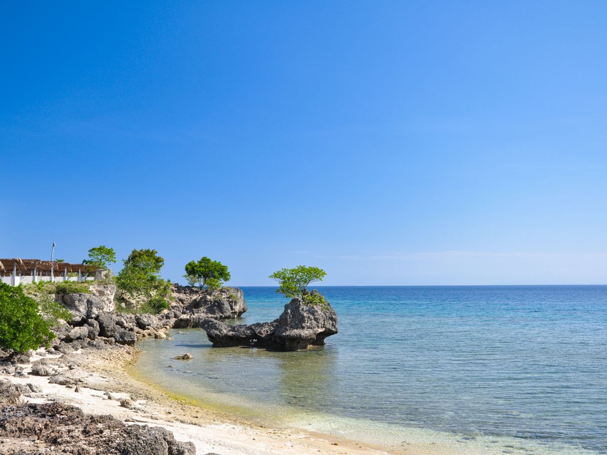 7 Day Star Arcanum Holistic Yoga Retreat in Port Antonio, Jamaica 3