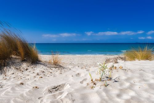 Free Stunning white sand beach and clear blue sea in Porto Pino, Sardinia, perfect for serene summer escapes. Stock Photo